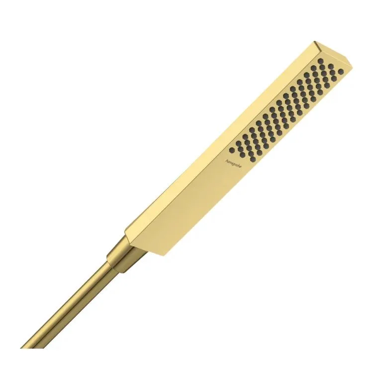 Ручний душ Hansgrohe Pulsify E 100 1jet EcoSmart, Polished Gold Optic (24320990)