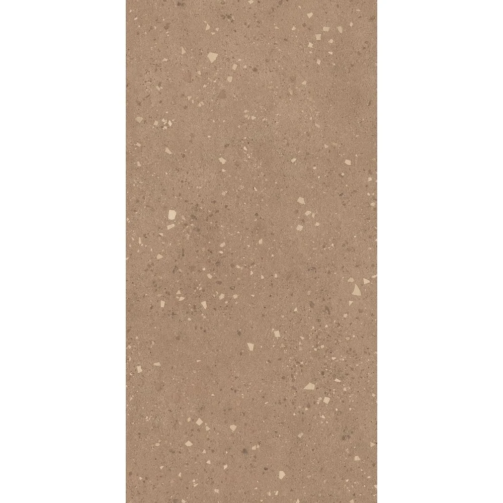 Керамограніт Atlas Concorde, Grain Terrazzo Earth 60х120 Matt 8 мм (HFVR)
