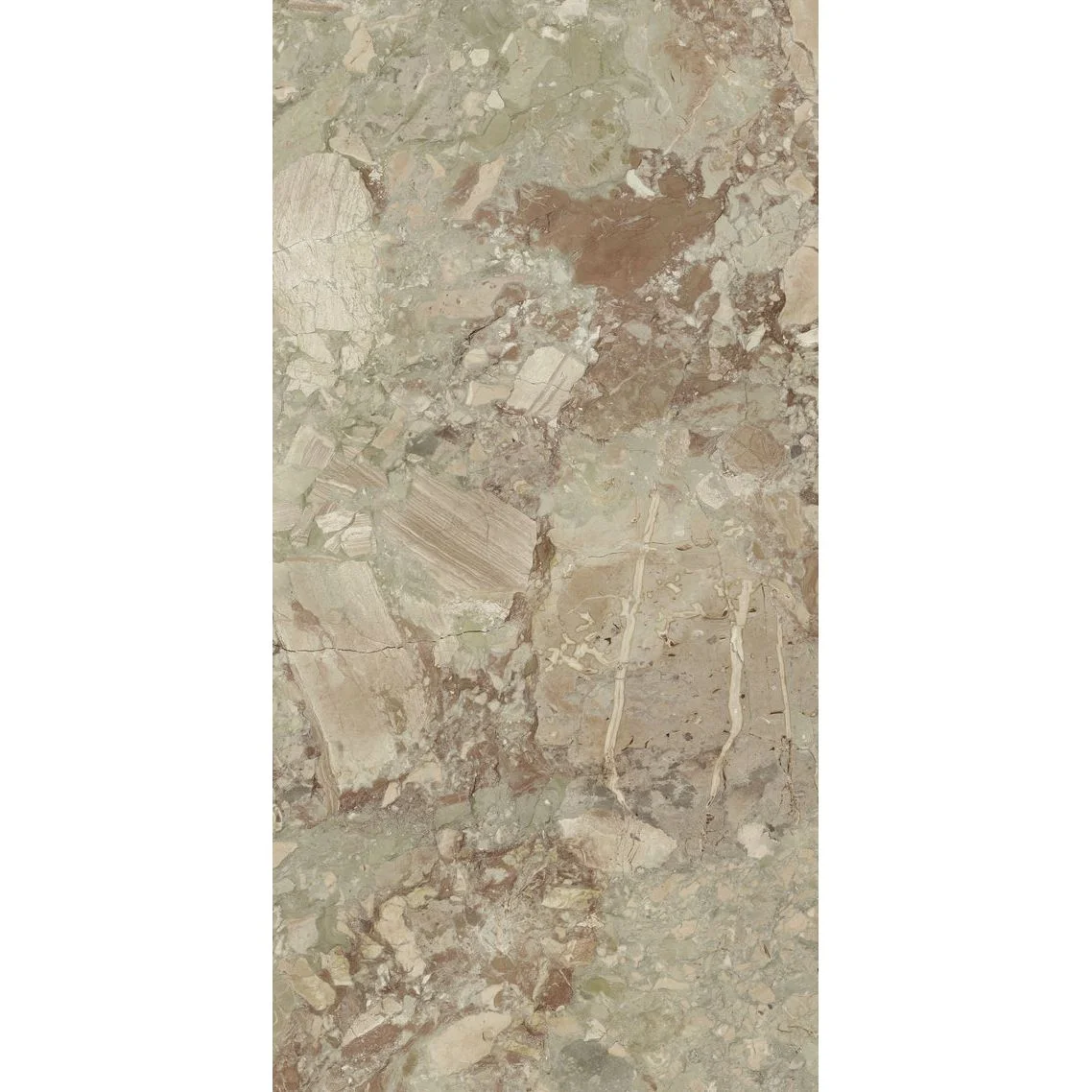 Керамограніт Fiandre Lexicon, Ceppo Aragona 120x60 см Natural 8 мм (AS335X864)