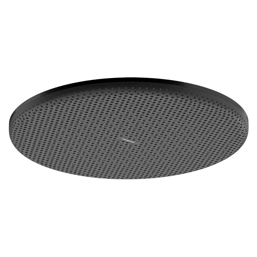 Верхній душ Hansgrohe Raindance Alive S 300 1jet EcoSmart, Brushed Black Chrome (24521340)