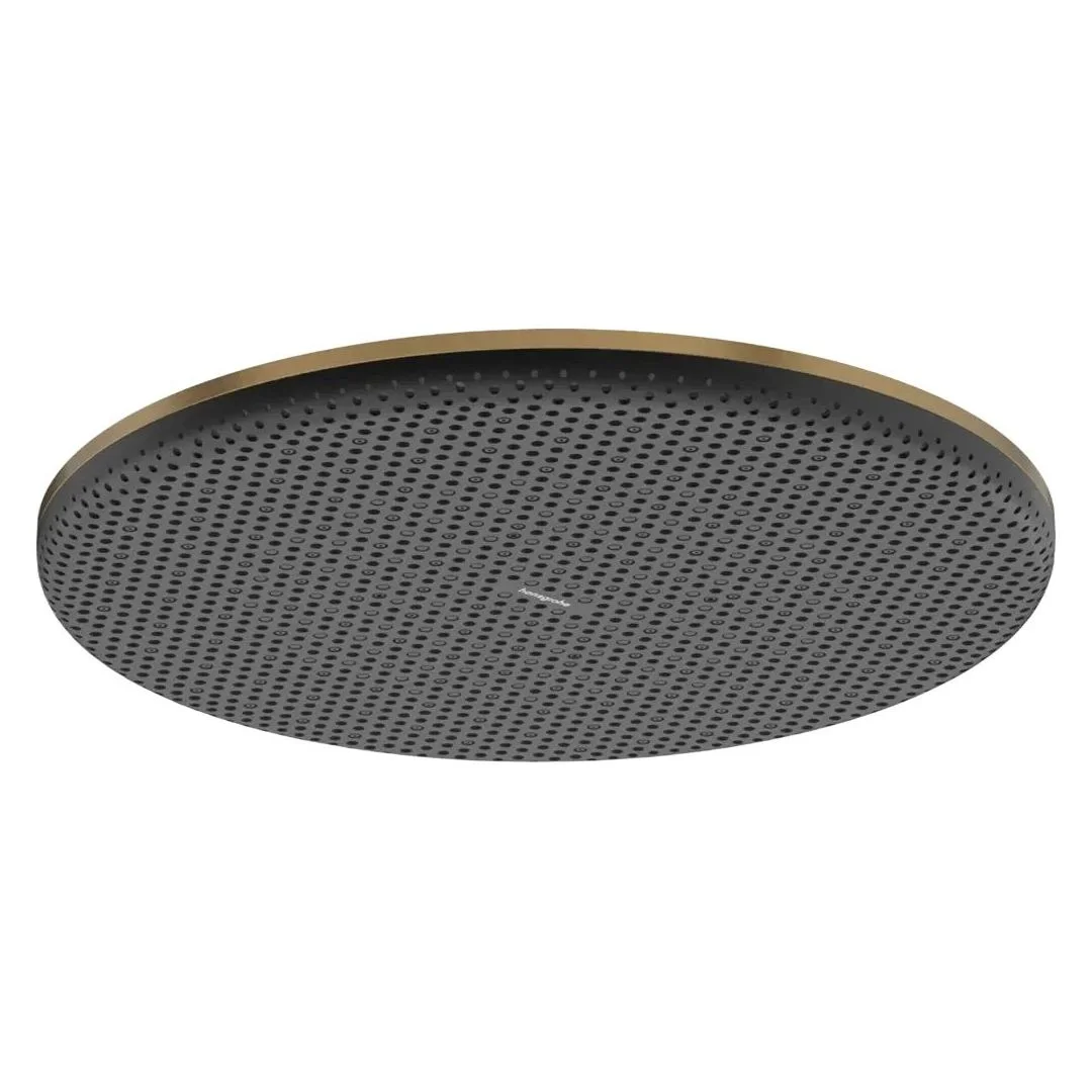 Верхній душ Hansgrohe Raindance Alive S 300 1jet EcoSmart, Brushed Bronze (24521140)