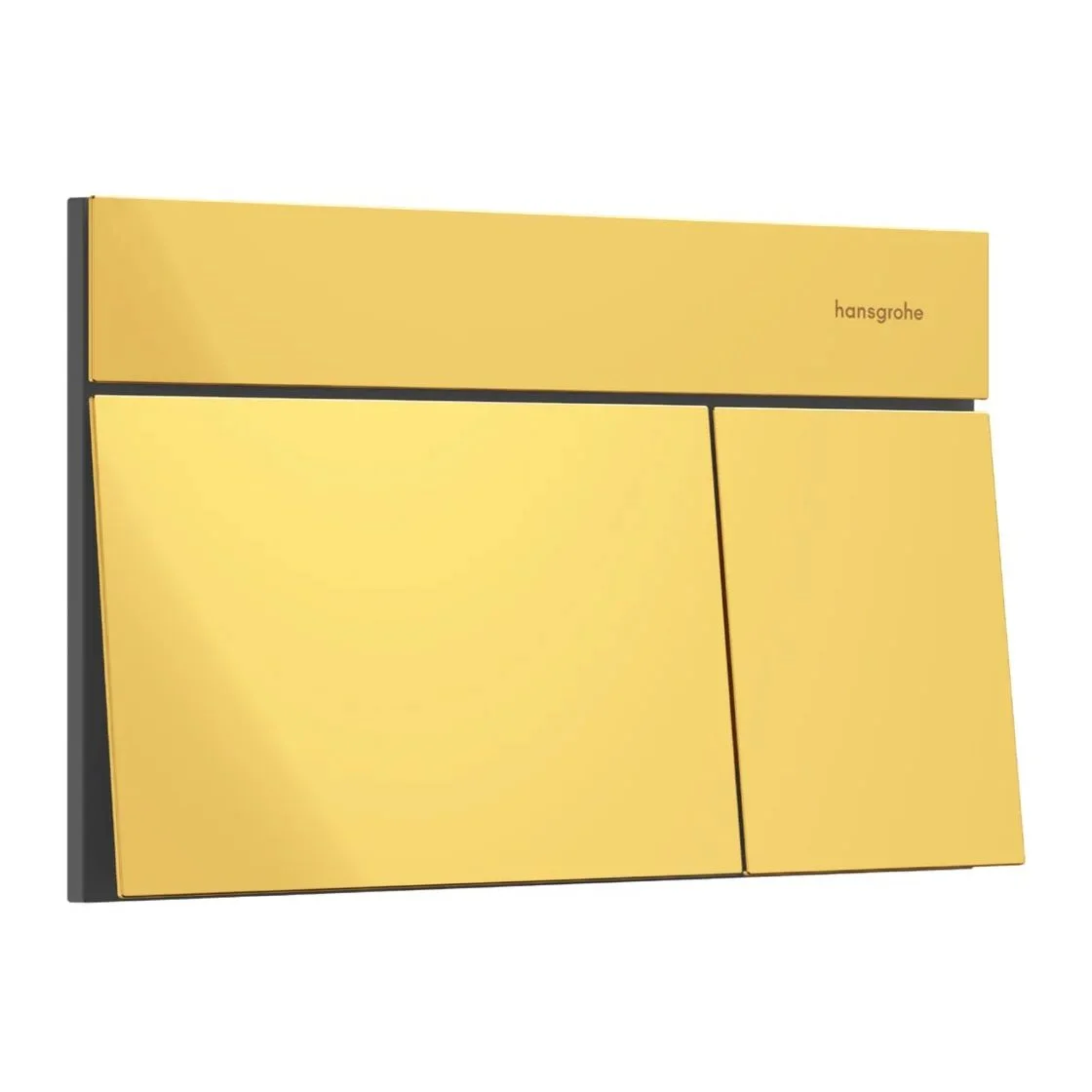 Клавіша змиву Hansgrohe iFrame Element E, Polished Gold Optic (66003990)